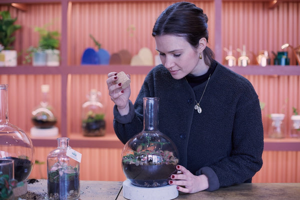 Caring For Your Terrarium: Five Essential Things You Need To Know
