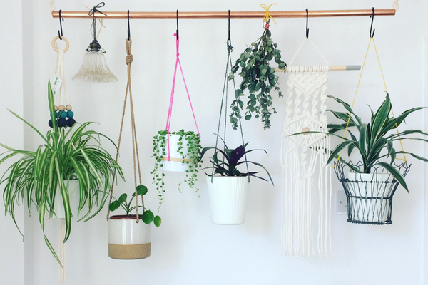 Make a macrame plant hanger using sustainable materials