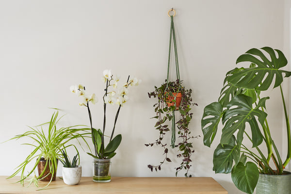 3 Steps To Mastering Macrame
