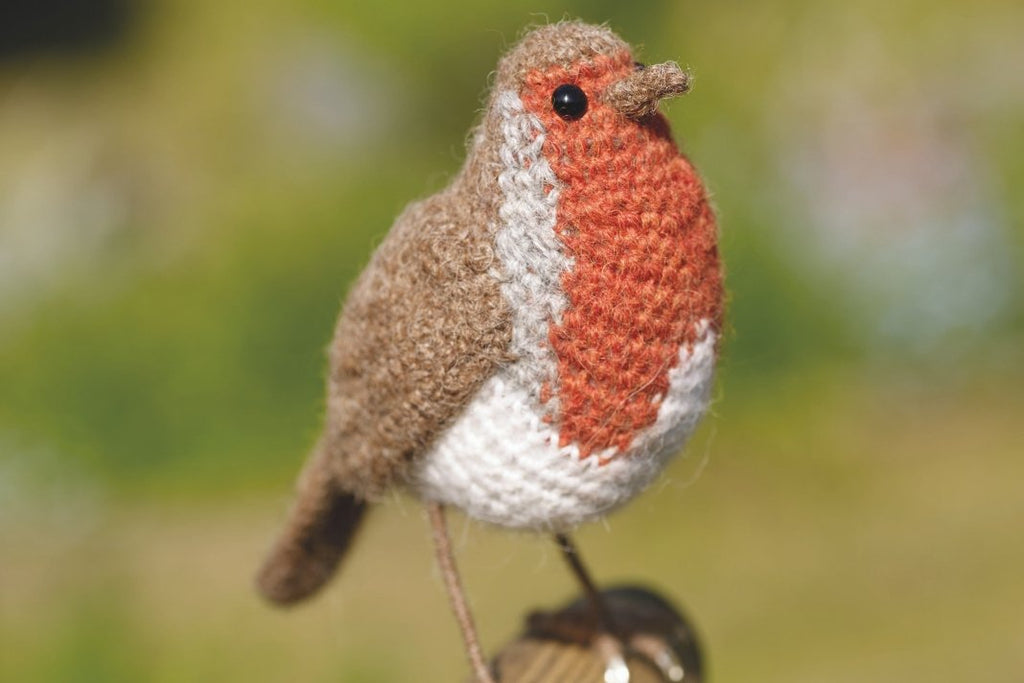 Make a festive crochet robin in this free project