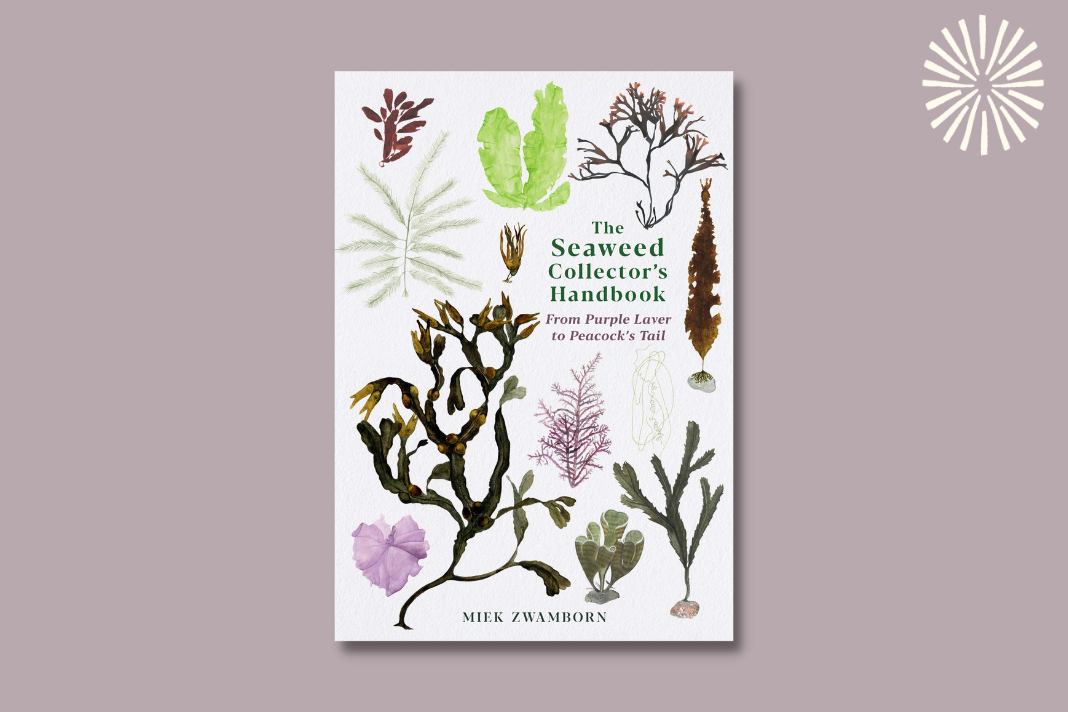 The Seaweed Collector's Handbook: From Purple Laver to Peacock's Tail