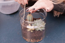 Load image into Gallery viewer, Make a Cactus and Succulent Terrarium: Course + Kit
