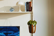 Load image into Gallery viewer, Make Your Own Leather Plant Hanger: Kit + Guide
