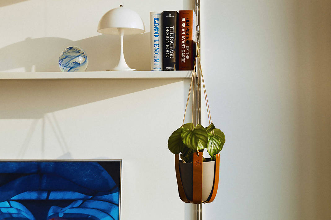 Make Your Own Leather Plant Hanger: Kit + Guide