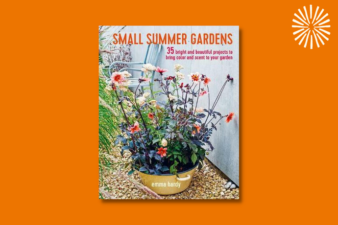 Small Summer Gardens: 35 Bright and Beautiful Projects to Bring Color and Scent to Your Garden