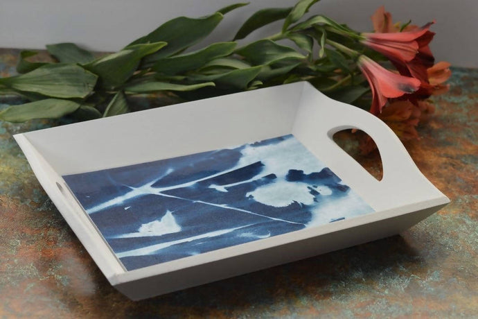 Learn how to make cyanotype prints & tray: Kit + Guide