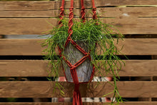 Load image into Gallery viewer, Make a spiral knot macramé plant hanger: Course + Kit
