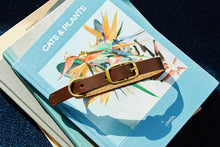 Load image into Gallery viewer, DIY Personalised Leather Pet Collar: Kit + Guide
