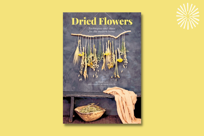 Dried Flowers: Techniques and ideas for the modern home