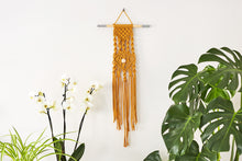 Load image into Gallery viewer, An &quot;eye-spy&quot; macrame wall hanging next to an orchid and a fern.
