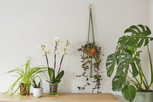 Load image into Gallery viewer, Make a simple macramé knot plant hanger: Online Course
