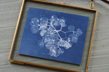 Load image into Gallery viewer, Learn how to make cyanotype prints: Kit + Guide
