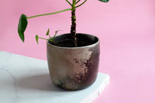 Load image into Gallery viewer, A smoke-fired ceramic pot with a money tree, against a pink background.

